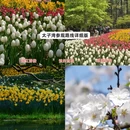 杭州旅游 缩略图 1