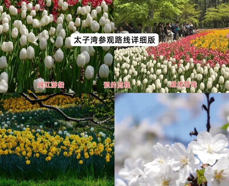 杭州旅游 1