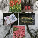杭州旅游 缩略图 2