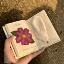 杭州旅游 缩略图 3