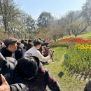 杭州旅游 缩略图 17