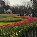 杭州旅游 缩略图 1