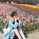 杭州旅游 缩略图 12