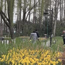 杭州旅游 缩略图 6