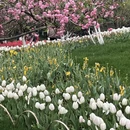杭州旅游 缩略图 1