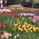 杭州旅游 缩略图 8
