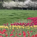 杭州旅游 缩略图 13