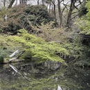 杭州旅游 缩略图 14