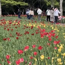 杭州旅游 缩略图 9