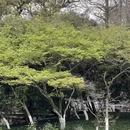 杭州旅游 缩略图 16