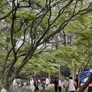 杭州旅游 缩略图 15