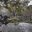 杭州旅游 缩略图 4