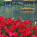 杭州旅游 缩略图 6