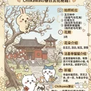 杭州旅游 缩略图 4