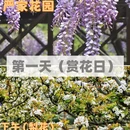 苏州旅游 缩略图 2
