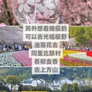 苏州旅游 缩略图 5