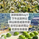 苏州旅游 缩略图 4