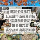 苏州旅游 缩略图 12
