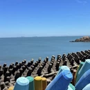 温州旅游 缩略图 3