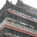 温州旅游 缩略图 7