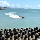 温州旅游 缩略图 9