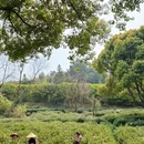 苏州旅游 缩略图 4