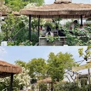 苏州旅游 缩略图 6