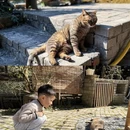 苏州旅游 缩略图 8