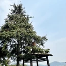 苏州旅游 缩略图 13