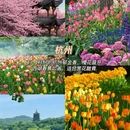 昆明旅游 缩略图 2