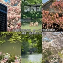 昆明旅游 缩略图 3