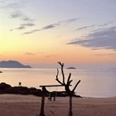 宁波旅游 缩略图 3