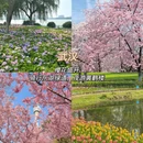 昆明旅游 缩略图 7