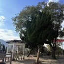 宁波旅游 缩略图 10