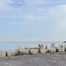 宁波旅游 缩略图 12