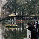 杭州旅游 缩略图 2