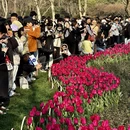 杭州旅游 缩略图 4
