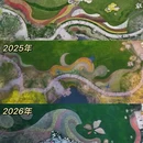 杭州旅游 缩略图 2