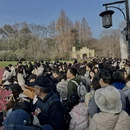 杭州旅游 缩略图 5