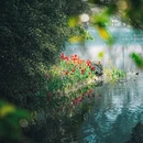杭州旅游 缩略图 6