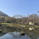 杭州旅游 缩略图 16