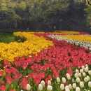 杭州旅游 缩略图 5