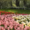 杭州旅游 缩略图 7