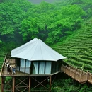 信阳旅游 缩略图 7