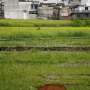 银川旅游 缩略图 12