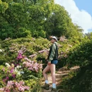 重庆旅游 缩略图 1