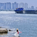 南京旅游 缩略图 5