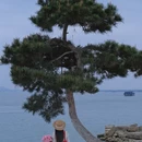 南京旅游 缩略图 12