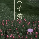 杭州旅游 缩略图 1