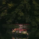 杭州旅游 缩略图 1